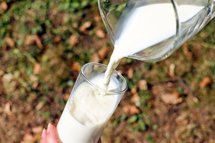 Los expertos recomiendan consumir de 2 a 3 raciones de leche diarias
