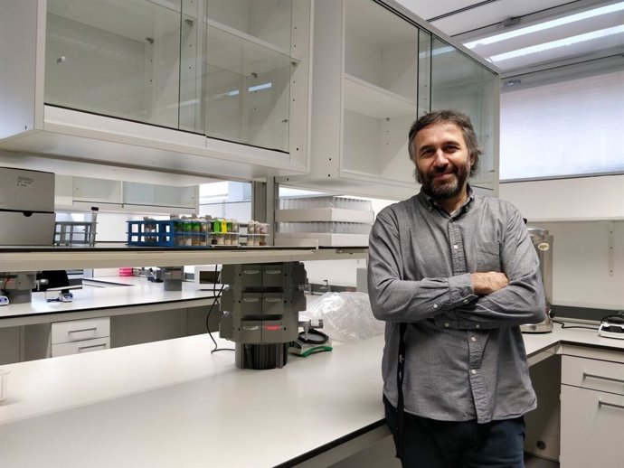 El IRBLleida describe el primer modelo de metástasis en adultos desarrollado en la mosca del vinagre