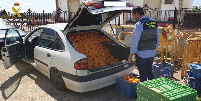 Córdoba.- Sucesos.- Detenido en Almodóvar un acusado de robar una tonelada de naranjas y una gran cantidad de espárragos