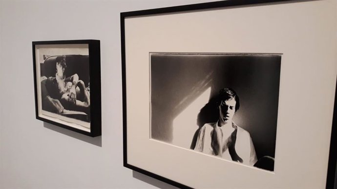 La obra de Wojnarowicz, el activista contra el sida que pedía "no olvidar la Historia", llega al Museo Reina Sofía