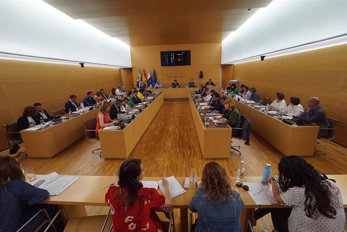 [Grupocanarias] Nota De Prensa, Fotografías Y Acuerdos Institucionales: Pleno Se