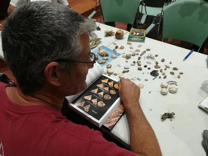 Cádiz.- El V Bioblitz identifica 620 especies en el Parque de los Toruños