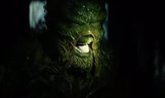 Foto: Tétrico tráiler final de Swamp Thing, la serie de La cosa del Pantano