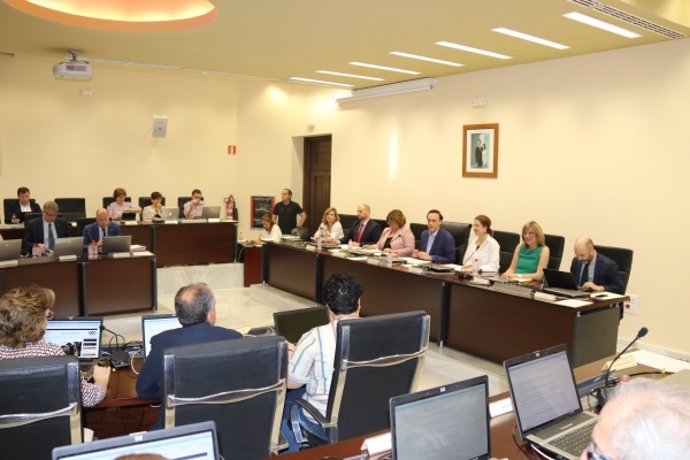 Córdoba.- El consejo de gobierno de la UCO aprueba su oferta de empleo público de personal docente e investigador