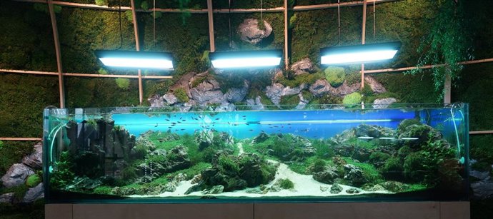 EL OCEANOGRFIC ABRE UNA EXPOSICIÓN ÚNICA EN ESPAÑA DE PAISAJE SUMERGIDO