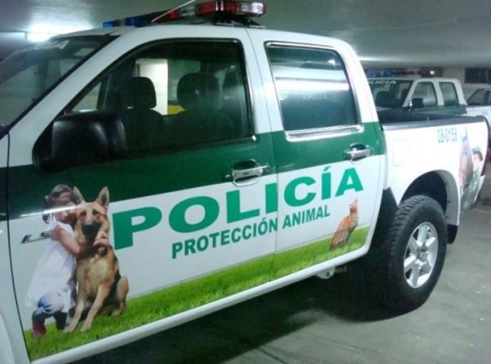 Actúa exige a Cort la retirada de la declaración simbólica 'Palma,  ciudad amiga de los animales'