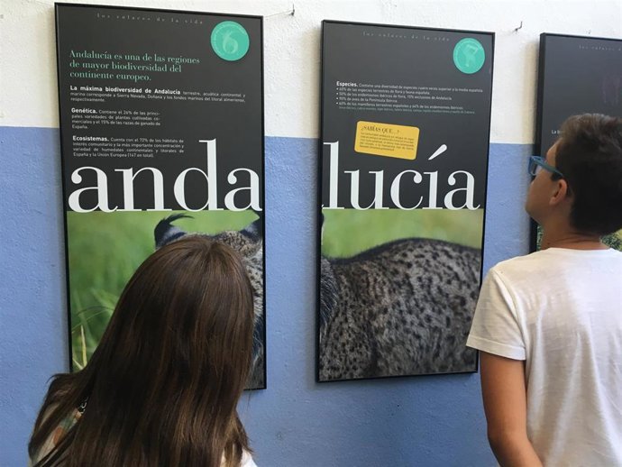 Málaga.- Cerca de 3.000 personas visitan la I Semana de la Ciencia y la Tecnología 'Feria STEM' en Marbella