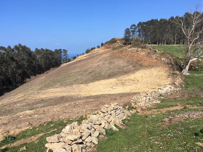 Ecologistas en Acción denuncia una excavación en el castro de El Cincho