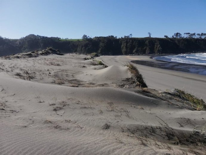 Expertos europeos en la gestión y restauración de sistemas dunares visitan la Reserva de Barayo (Navia-Valdés)