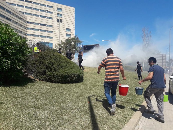 Successos.- Sufoquen un incendi de vegetació al costat de l'autopista enfront del Palau de Congressos