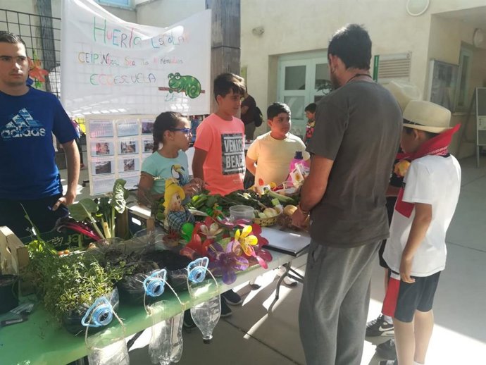 CádizAlDía.- Más de 100 centros de la provincia participan en el programa de Huertos de Escolares de Diputación