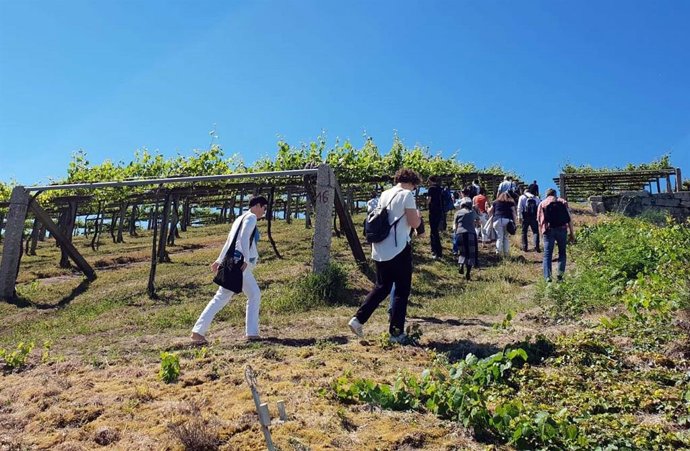 Rural.- Profesionales alemanes visitan bodegas de tres subzonas de la Denominación de Origen Rías Baixas