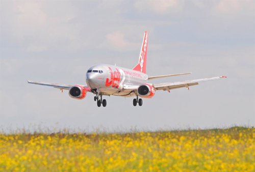 Multados 14 turistas en Palma por negarse a seguir las instrucciones del avión en el que viajaban