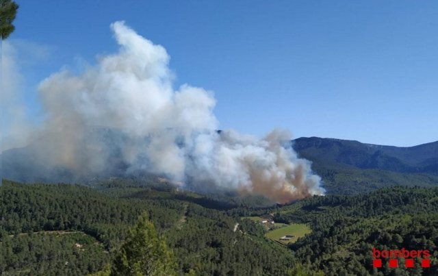 Sucesos.- Un incendio forestal en Pradell (Tarragona) obliga a cortar la R15