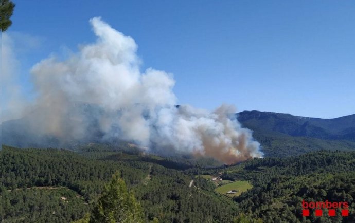 Successos.- Un incendi forestal en Pradell (Tarragona) obliga a tallar la R15