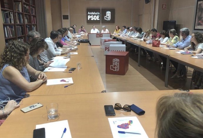 Fwd: Np Psoe Ejecutiva Provincial 26 M 20190529