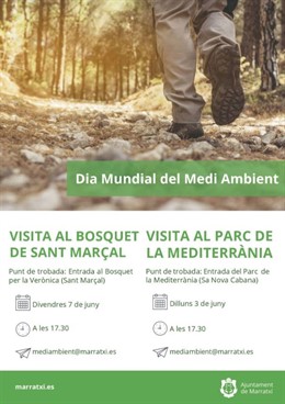 Marratxí acull durant una setmana activitats gratutes per celebrar el Dia Mundial del Medi ambient