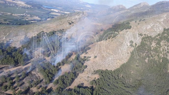 Extinguido el incendio forestal de Busquístar y controlado el de Pinos Puente (Granada)