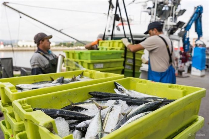 Comer pescado y marisco, clave para mantener el calentamiento por debajo de los 2C, según un estudio