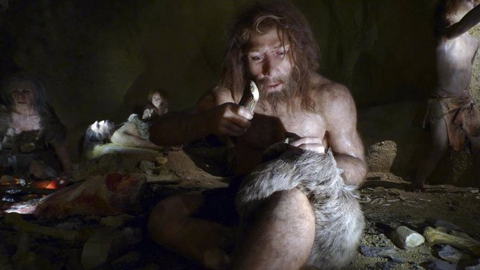 Francia.- La disminución de las tasas de fertilidad puede explicar la extinción de Neanderthal, sugiere un nuevo modelo