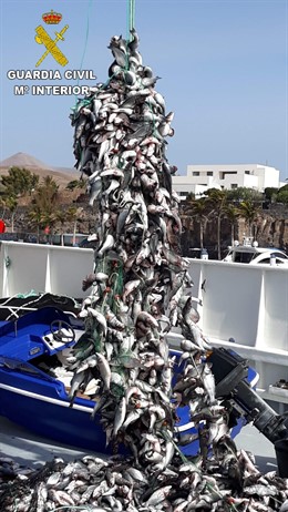 Sucesos.- Detenidas tres personas por robar 4.600 kilos de pescado en una piscifactoría de Lanzarote