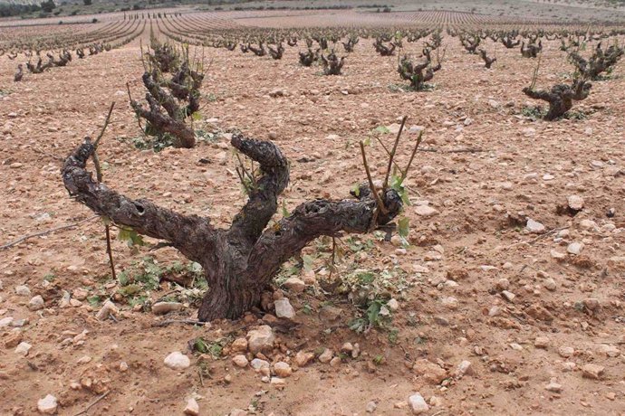 Daños pedrisco, granizo, lluvia, tormenta