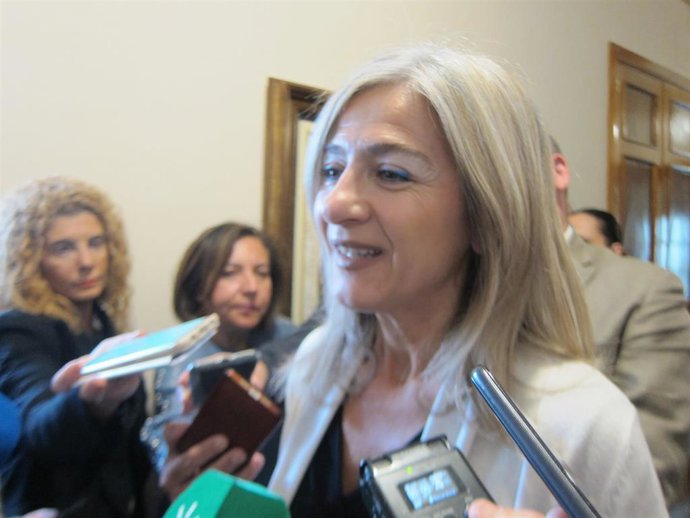 Memoria.-Del Pozo recuerda a Vox que la Ley de Memoria hay que cumplirla y aboga por un nuevo texto consensuado