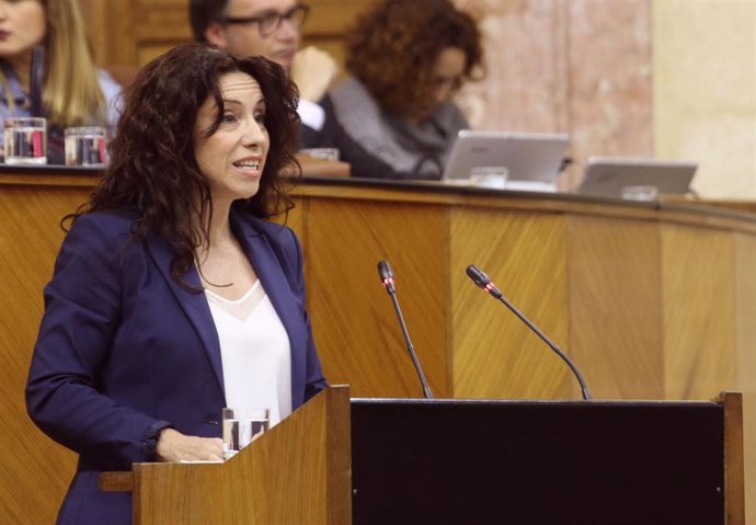 Almería.-Junta aboga por "reforzar" los servicios comunitarios ante su "saturación" para atender la dependencia