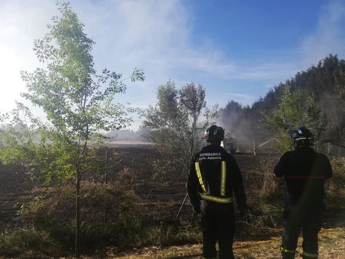 Controlado un incendio en el camino de Sirga del Canal, en Palencia