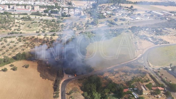Córdoba.- Sucesos.- Infoca y SEIS intervienen en un incendio de pastos junto a la barriada de Alcolea
