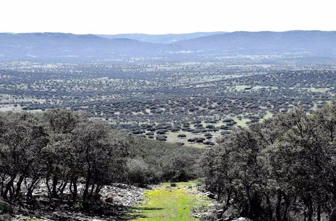 Este viernes entra en vigor el Plan Rector de Uso y Gestión del Parque Natural 'Valle de Alcudia y Sierra Madrona'