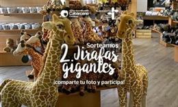 El Parque de Cabárceno convoca un concurso en el que puede ganar una jirafa gigante de peluche
