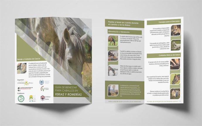 Sevilla.- El Colegio Oficial de Veterinarios repartirá 20.000 dípticos sobre bienestar animal durante El Rocío 2019