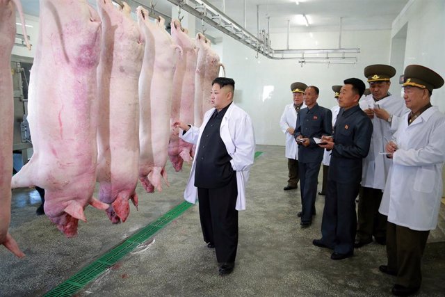 Corea.- Corea del Norte declara un brote de gripe porcina que se suma a la crisis alimentaria por la sequía