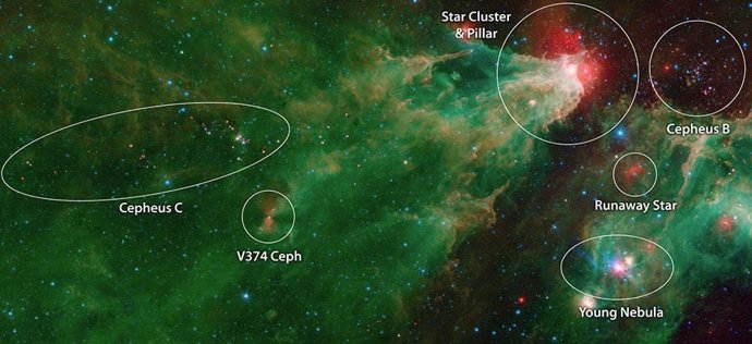 Las estrellas de Cepheus