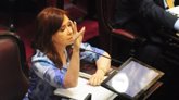 Foto: ¿Por qué Fernández de Kirchner no asistirá a su próximo juicio oral?