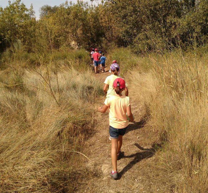 Zaragoza.- La Alfranca celebra una nueva edición del campus infantil de verano
