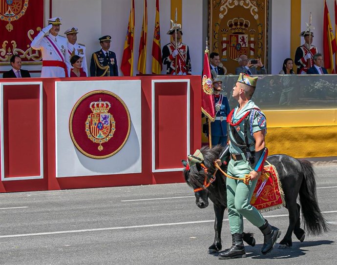 Llos Reyes de España presiden la parada militar y el desfile con motivo del Día de las Fuerzas Armadas