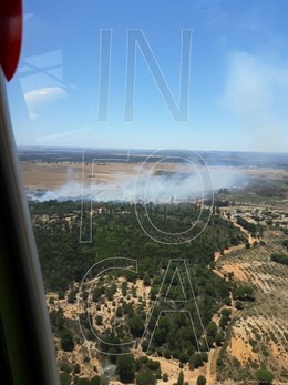 Huelva.- Sucesos.- Declarado un incendio forestal en el paraje Fuente de la Corc