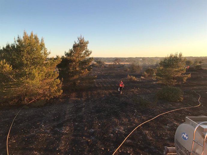 Sucesos.- Investigan en Formentera las causas de un incendio que calcinó 2 hectáreas de terreno agrícola