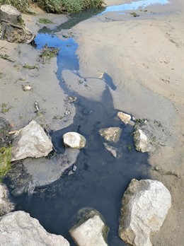 Miengo.- Equo más independientes vuelve a denunciar vertidos de aguas fecales en la playa de Usil en Mogro