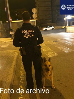 Sucesos.- La Policía Local de Murcia devuelve un perro desaparecido desde 2018 a su dueña tras encontrarlo herido