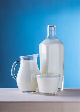 Granada.- La ingesta adecuada de leche y productos lácteos ayuda a prevenir enfermedades crónicas, según un informe