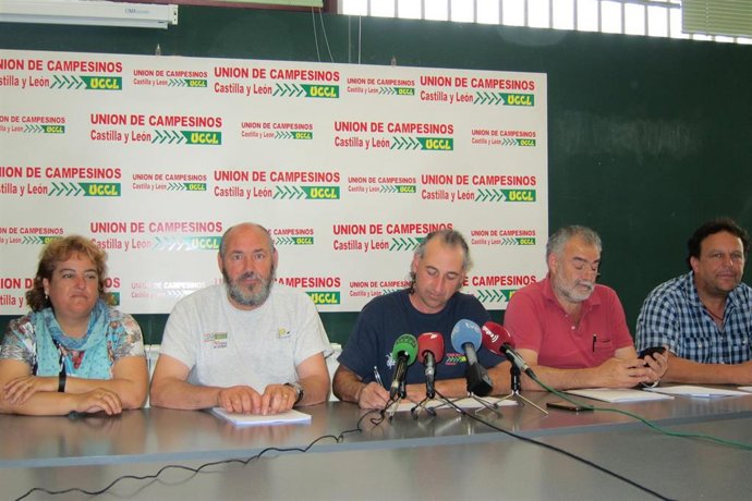 UCCL cifra la cosecha en 3 millones tras un calor "impresionante" que ha llevado "al traste" las "pocas esperanzas"