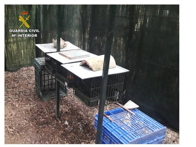 Alicante.- Sucesos.-