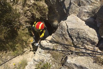 Bomberos del Ayuntamiento de Cartagena en las tare