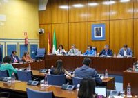 La Junta espera que los Presupuestos se aprueben el 18 de julio e invita a Vox a encontrar "puntos de encuentro"