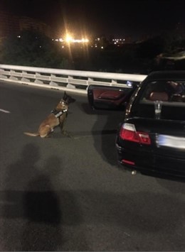 LA UNIDAD DE CONVIVENCIA Y SEGURIDAD HA REALIZADO 20 ACTAS DE INCAUTACIÓN DE DROGAS DURANTE ESTE FIN DE SEMANA