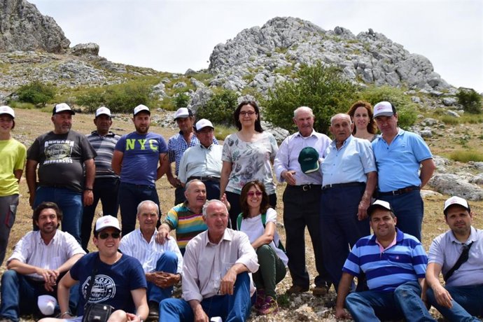 Granada.- Ganaderos y criadores muestran las excelencias de la raza ovina lojeña