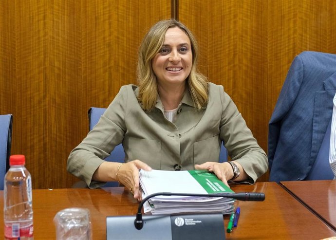 Fomento promete "máxima ejecución" en su presupuesto y apela al "sentido común" de Vox para plantear enmiendas de mejora